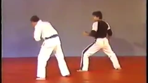 Hapkido