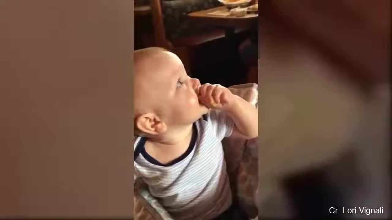 Funny Rection of Babies eating Lemon for the first time