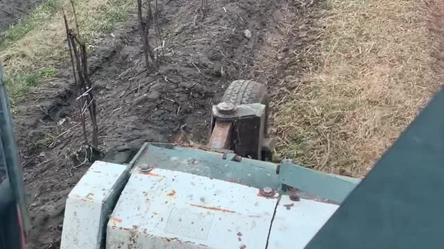 Shredding pruned vines in early springtime.