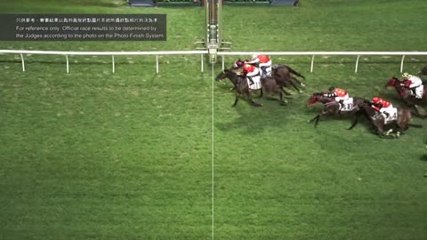 Horse_Race_2022052505_Chinese