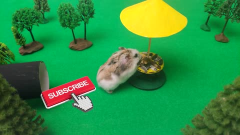 🐹🦂Scorpion maze with Traps hamster Police Pets 🐹 in Hamster stories