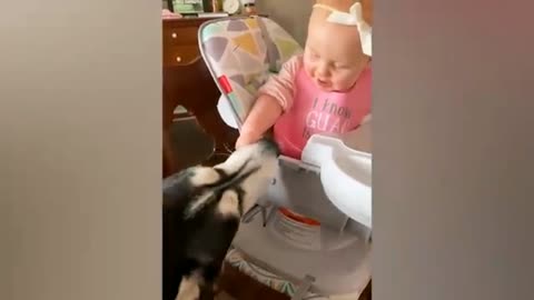 Funny video with dogs 😃.cute reactions of babies that playing with dogs