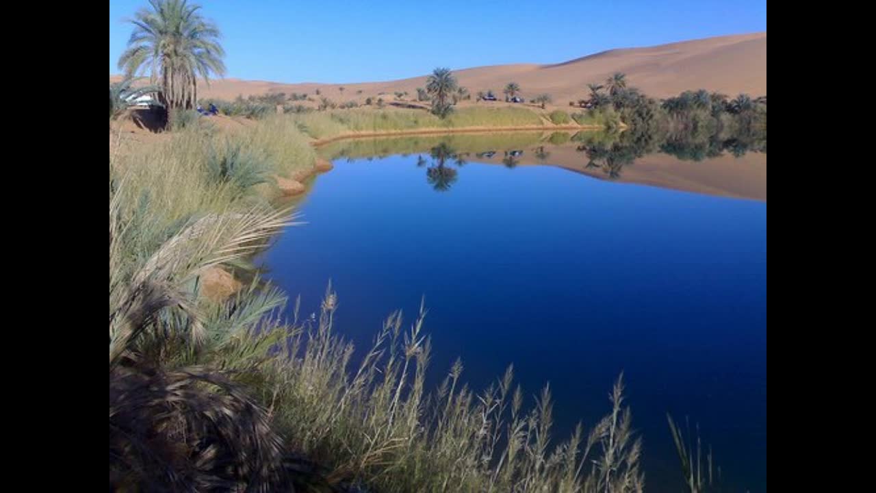 Oases in the Libyan desert