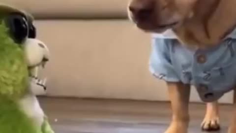 Dog play with toys | Dog play with remote car | Dog training | Animal Funny video #shorts