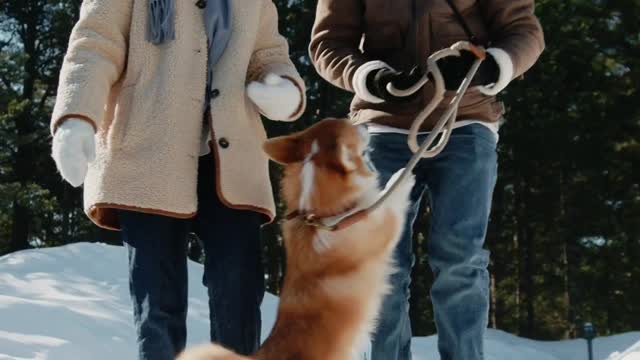 Cute dog enjoy in snow 😘😘