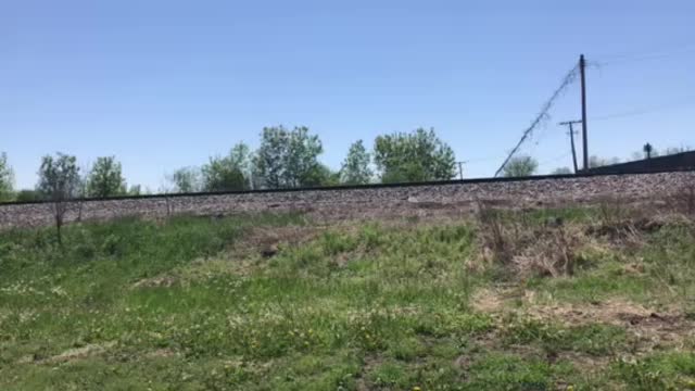 Freight train summer 2020