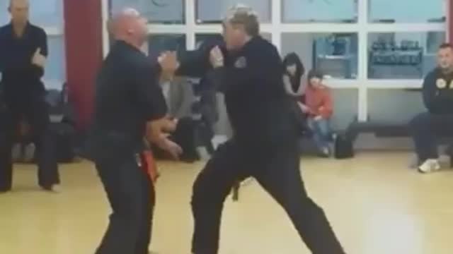 Kenpo karate - 5 swords technique