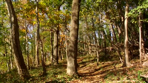 Nature, aprecie a natureza do nosso mundo 5