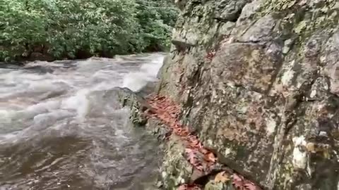 Hawks 2019 SOBO Appalachian Trail-Day 105-YoYo-Day 232