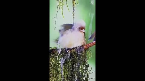 new videos in the world