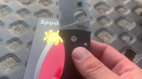 Spyderco Bodacious