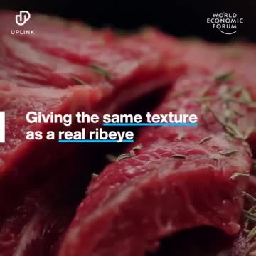 WEF 3D Printed Meat