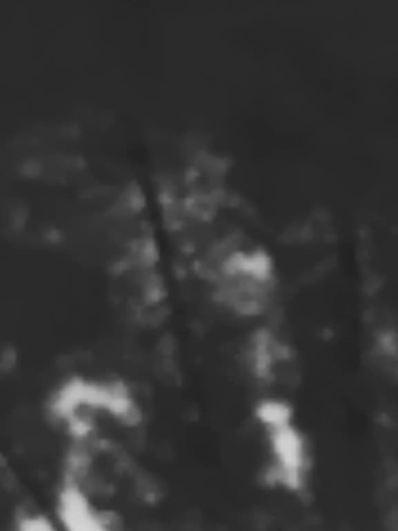 This is me using my infrared camera