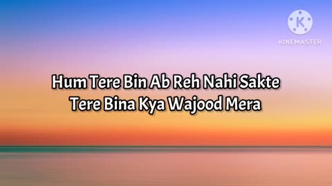 Tum Hi Ho (Lyrics)|