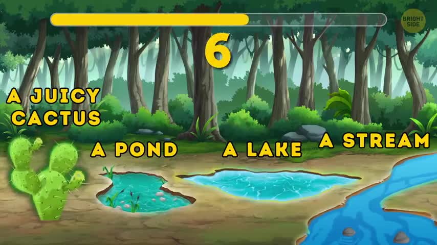 12 Riddles To Check If You Can Escape From Dangers ~(BrightSide)
