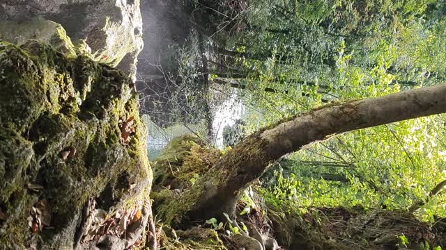 A view from the top of the vaioaga waterfall