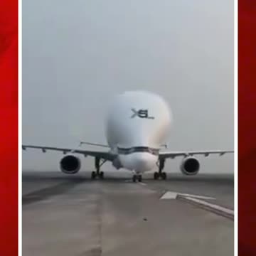 కోల్‌కతాలో ల్యాండైన అతిపెద్ద కార్గో విమానం #short #belugaxl #landed #kolkataairport | FBTV NEWS