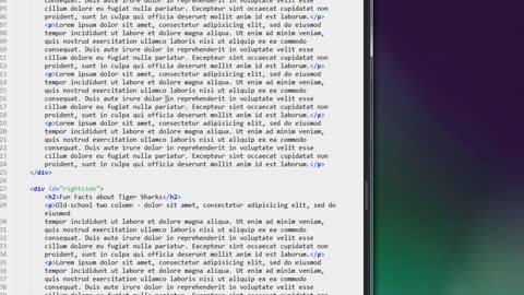 CSS3_Pro_ch9-l11-shark-4 (720p)