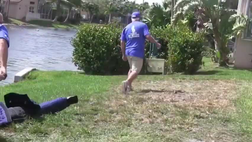How to make Dog Become Fully Aggressive quickly.