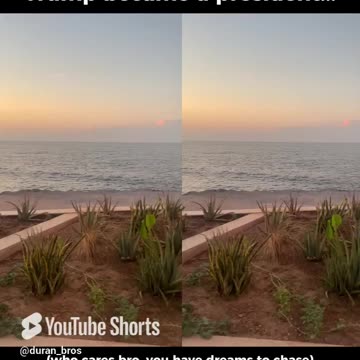 Trump became president...