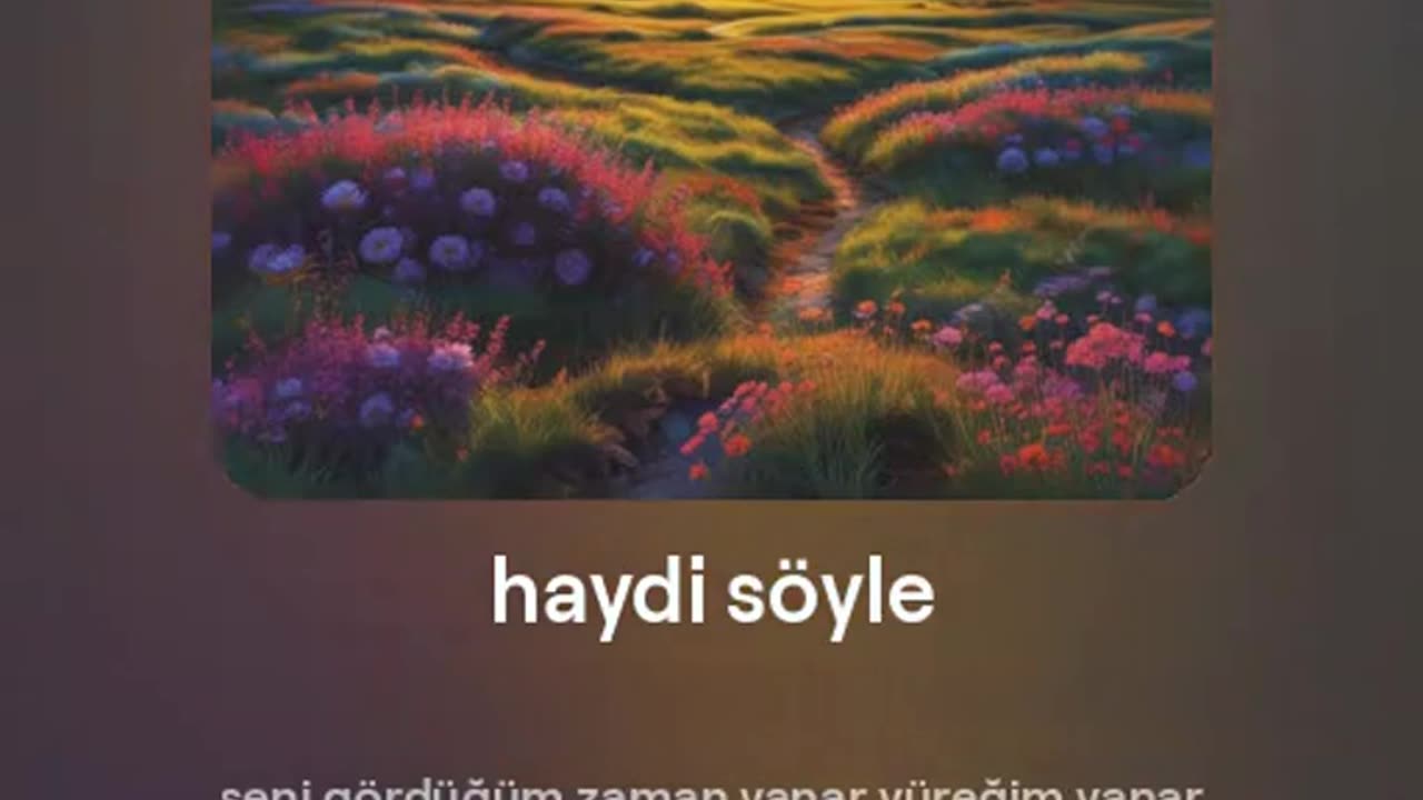 haydi söyle
