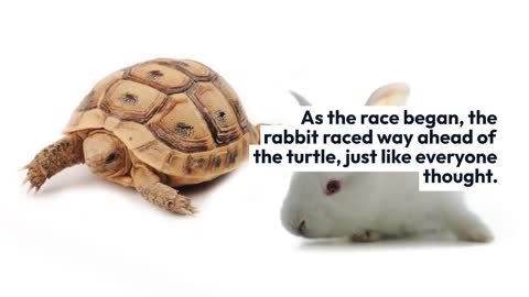 The Rabbit and the Turtle