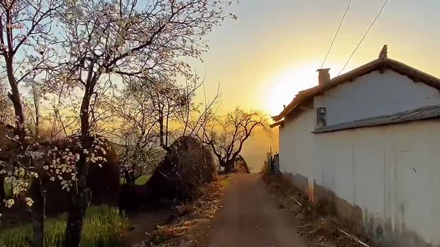 Enjoy the scenery quietly