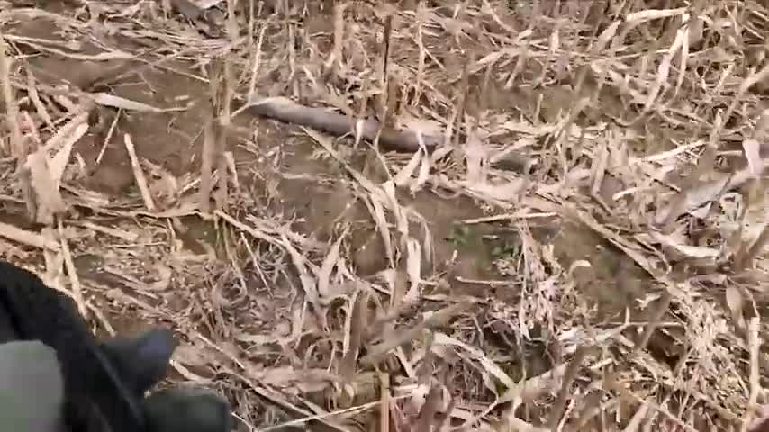 Ukrainie War - Russian KA-52 Emergency Landing During Combat Sortie At Hostomel Airport •