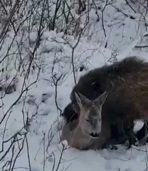 Winter, everyone is cold