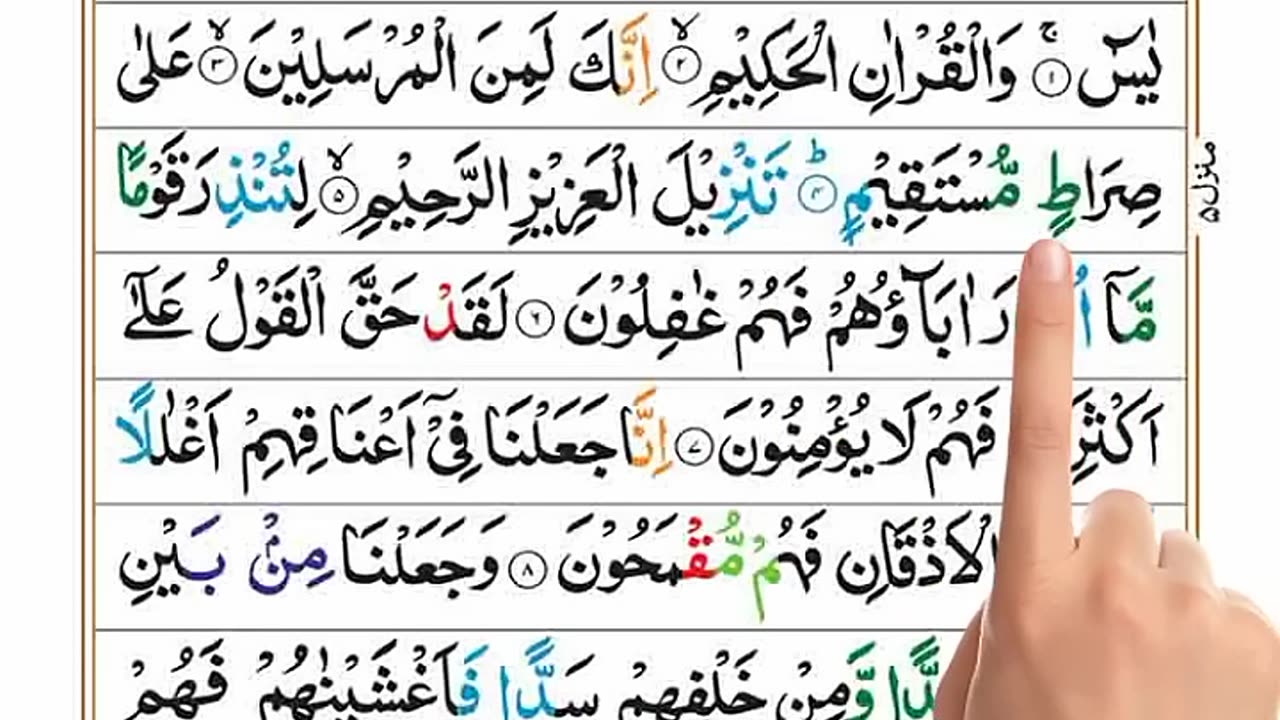 Quran shorts Muslims