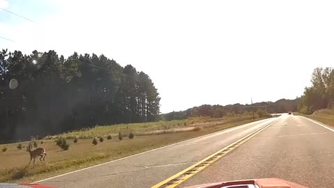 60 to 0 in 4 Seconds Or Why I Drive A 3 Wheeler