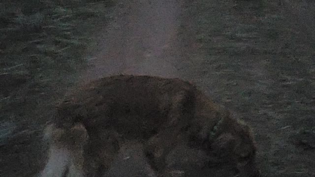 Let's go for a Run