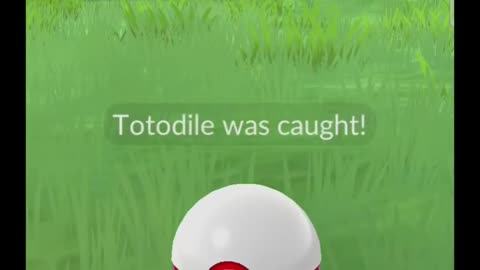 Pokémon GO-Shadow Totodile