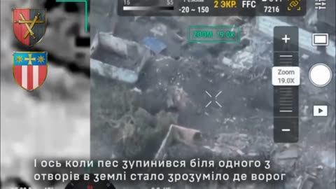 Ukrainians Wait for Dog to Finish its Business Before Smashing into Russian Lines