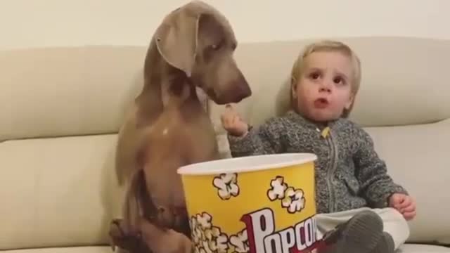 Eating popcorn by myself and feeding it to the dog,relationship looks good