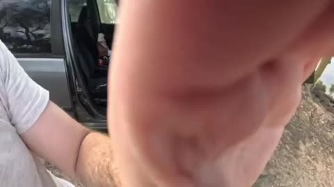 https://www.youtube.com/@Seymoursfishingadventures