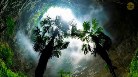 Scientists Found Prehistoric Forest in a Giant Sinkhole