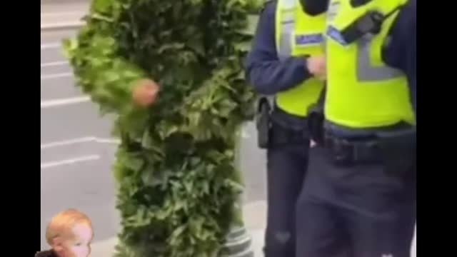 Good Bushman Prank on Cops.