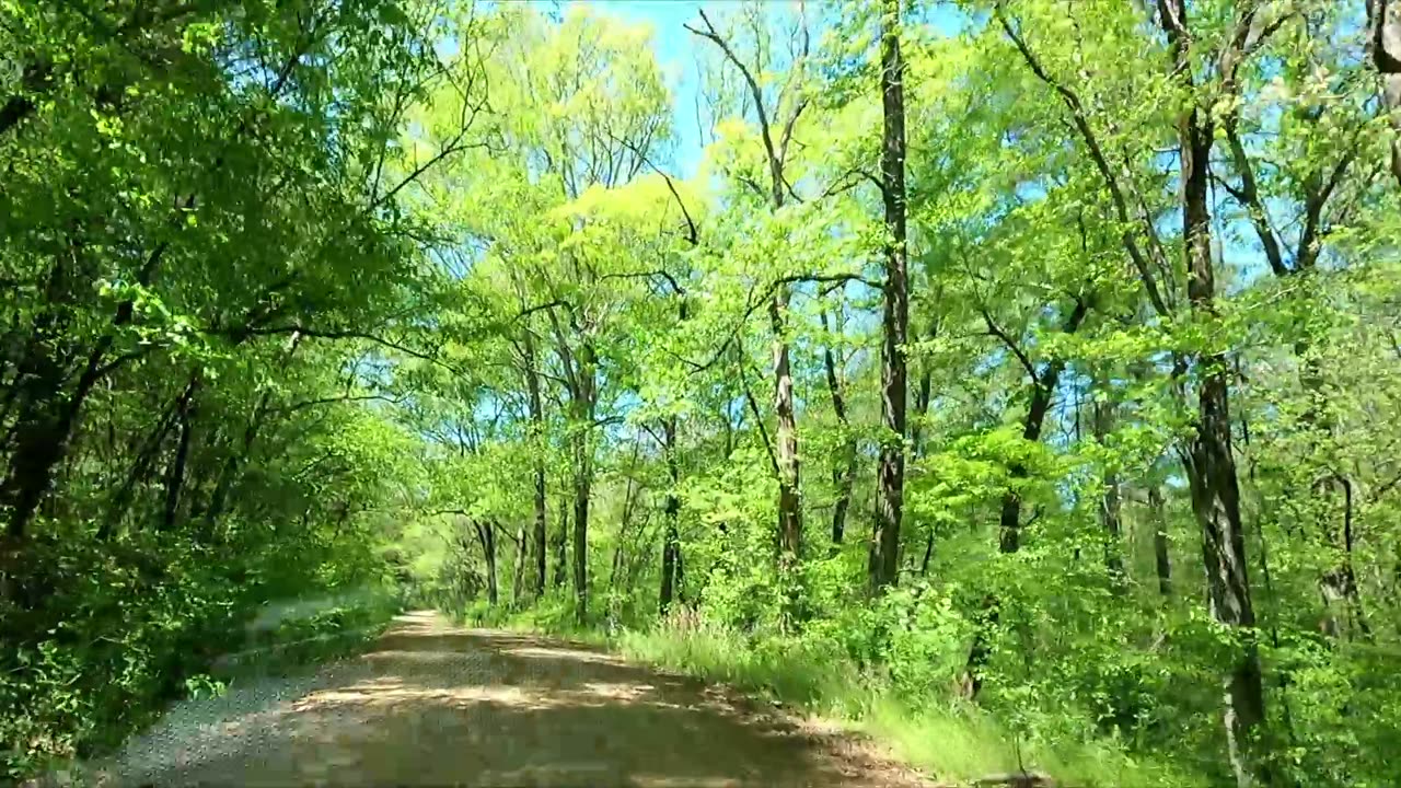 Ozark Dirt Roads a Virtual Drive over Bridge Hill RD from AR Highway 95 to AR 124