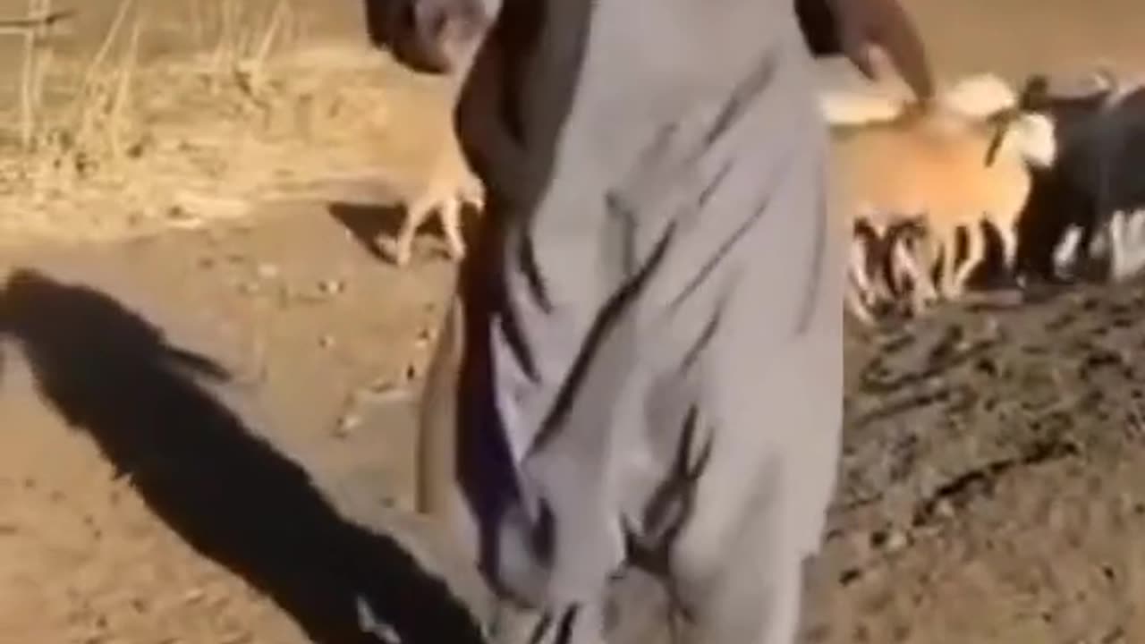 Punjabi song