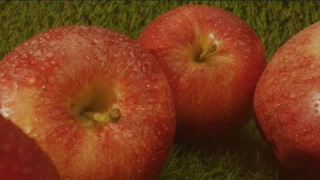 Fresh apples in a row on a natural background