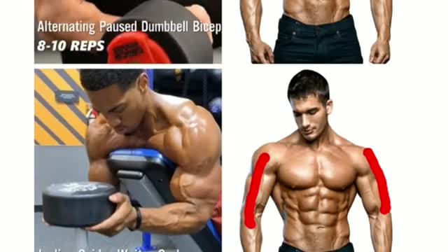 Killer Arms Workout For Gym | Biceps Exercise for Make Bigger