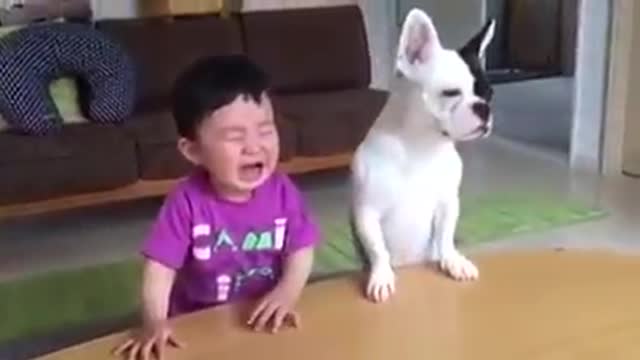 Funny baby dog crying