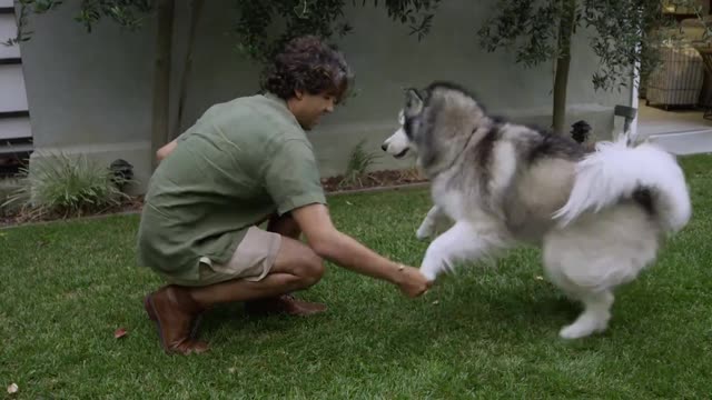 A man training his dog