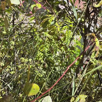 Telluride - Oct 4, 2023