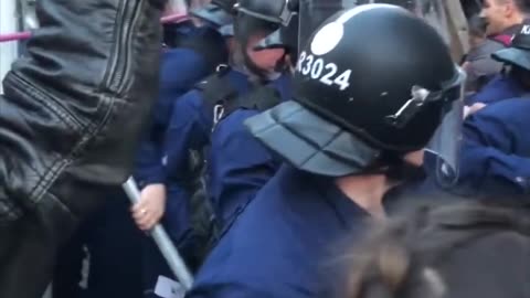 Karmelita dühöngő