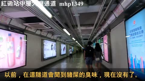 紅磡站中層大廳通道 Hung Hom Station Concourse Walkway, mhp1349, Apr 2021