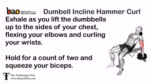 Dumbell Incline Hammer Curl