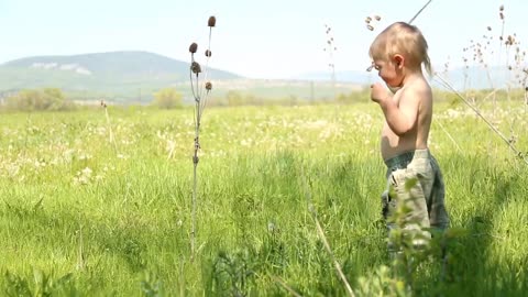 Funny baby activity videos