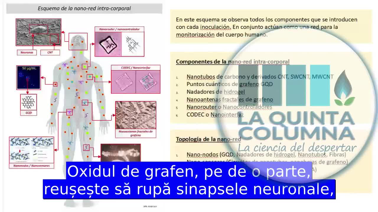 20 000 de ore de studiu multidisciplinar al unui grup